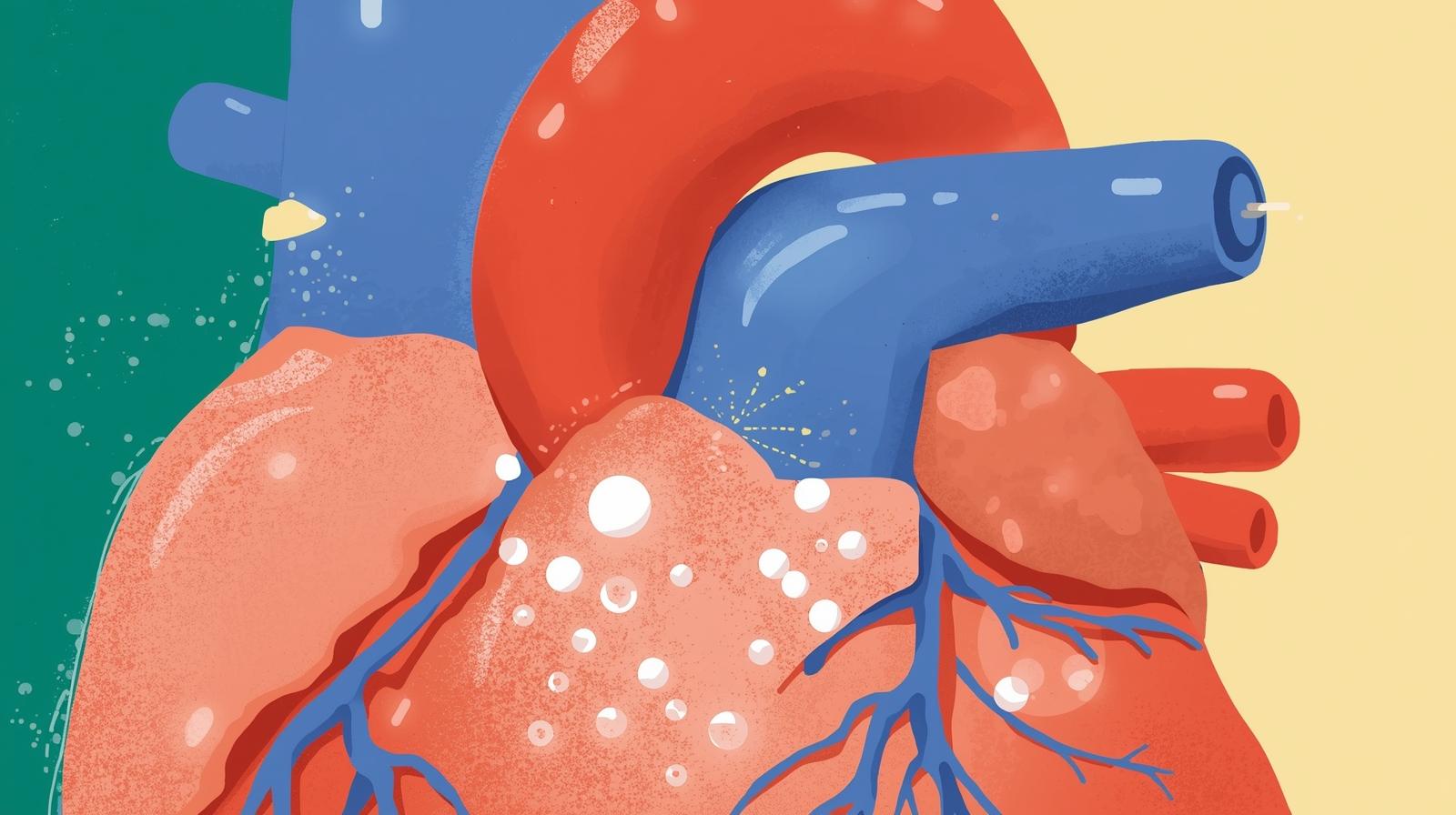 Benefits of salt for the human body